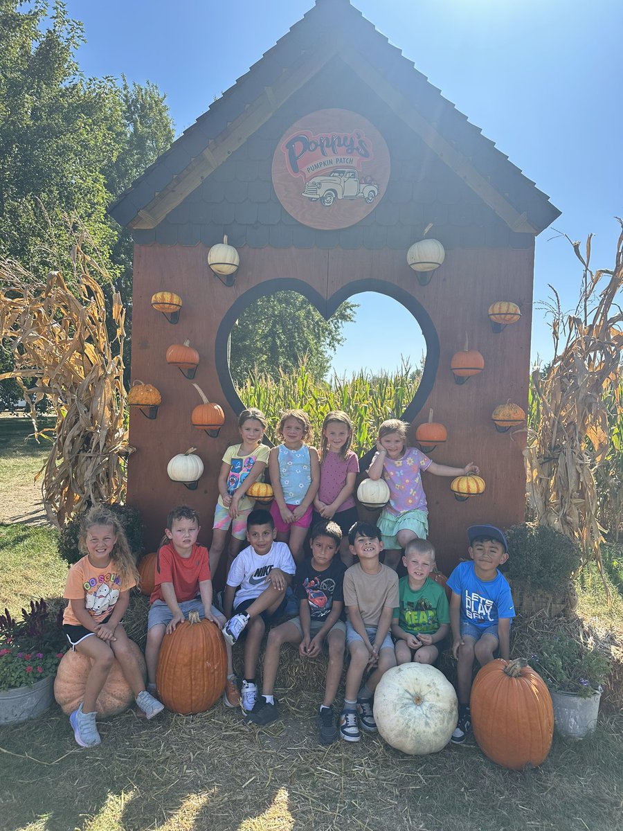 sprunk_holly's tweet photo. Cutest Pumpkins in the Patch! Great day on our 1st Grade Field Trip 🧡🎃💛 @PCElemSchool #lakeviewvikes #pcproud https://t.co/BnTX9Yheks