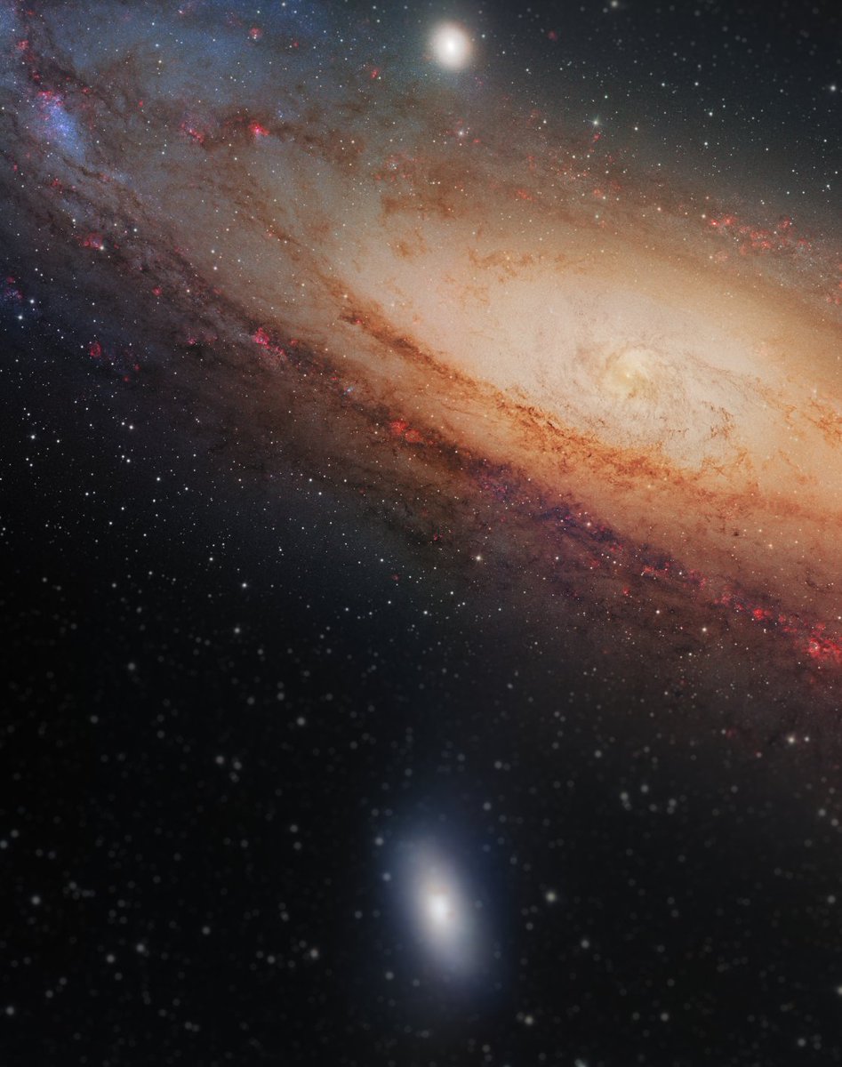 A swirling mass of stars, dust, and gas surrounds the core of Andromeda, where a Supermassive Black Hole sits. 

This was captured over several months using a 12" telescope, and required me to learn many new techniques to achieve this resolution on an object so distant.