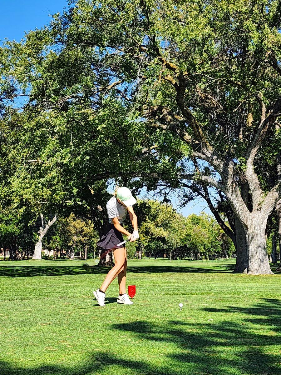 LSW Golf tweet media