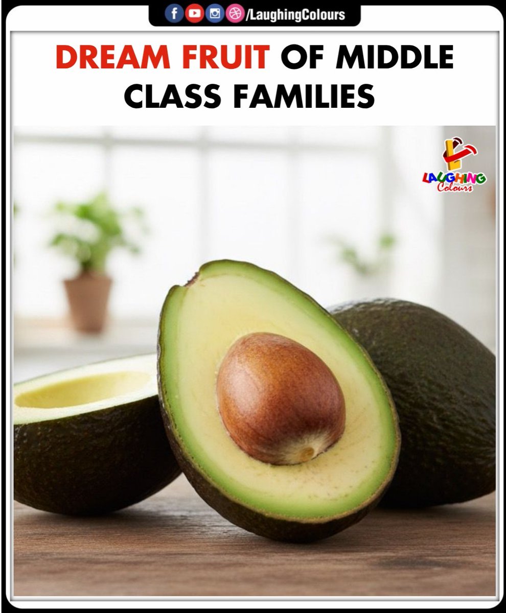 LaughingColours's tweet image. Middle class dream fruit 🥑

#Avocado #MiddleClassLife #ExpensiveFruit #RelatableHumor #FunnyPosts #EverydayLife