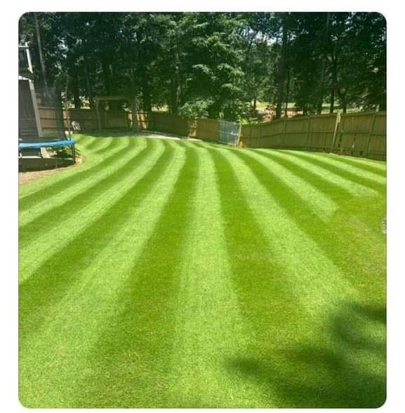 bradcole55's tweet photo. Well if I had a lawn this good I'd stand there all day with a Glock or a Dessert Eagle, just In case someone try there foot on my Master piece #masterlawn https://t.co/72sUjbuU3K