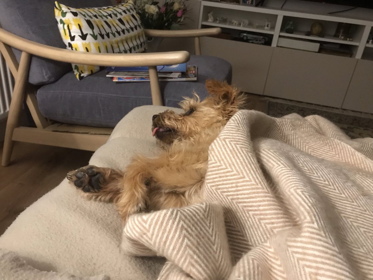 Всем спать😄