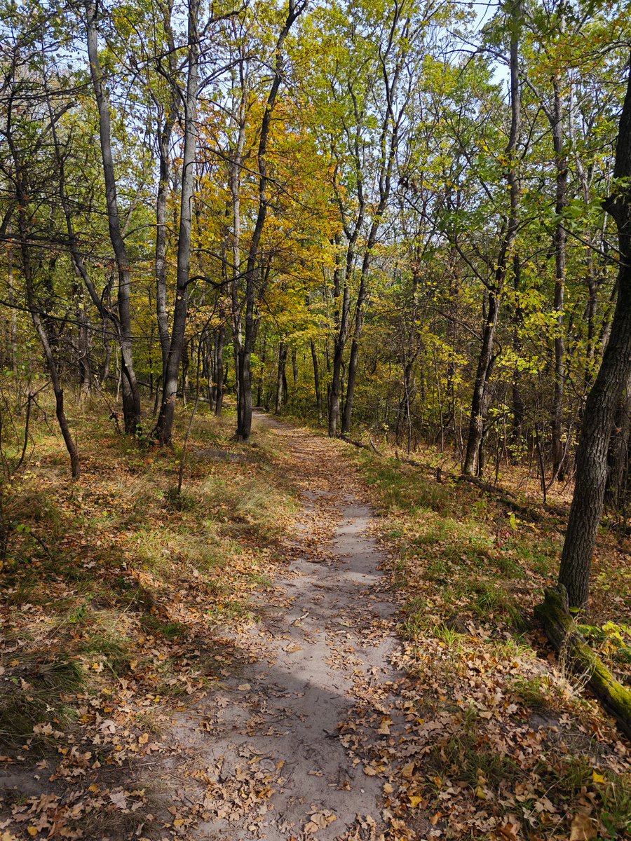 Мари tweet media