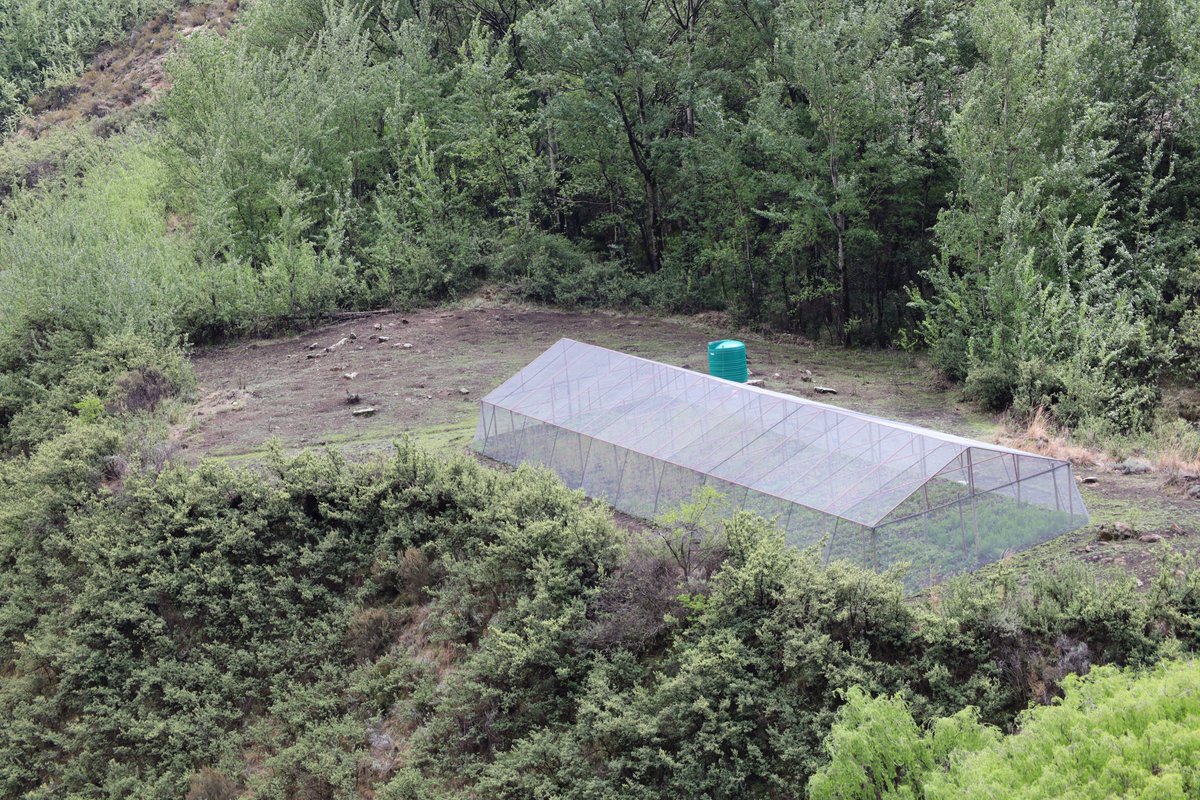 UNDP Lesotho tweet media