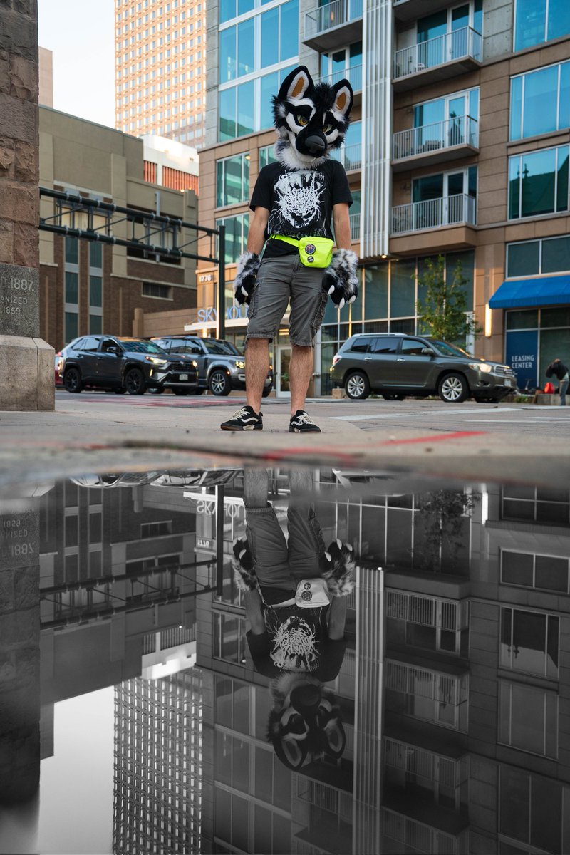 B &amp; W #FursuitFriday
 
📸: <a href="/Fur_MTB/">Sprocket</a> 
🪡: <a href="/MoonfullSuits/">MoonFull Creations</a>