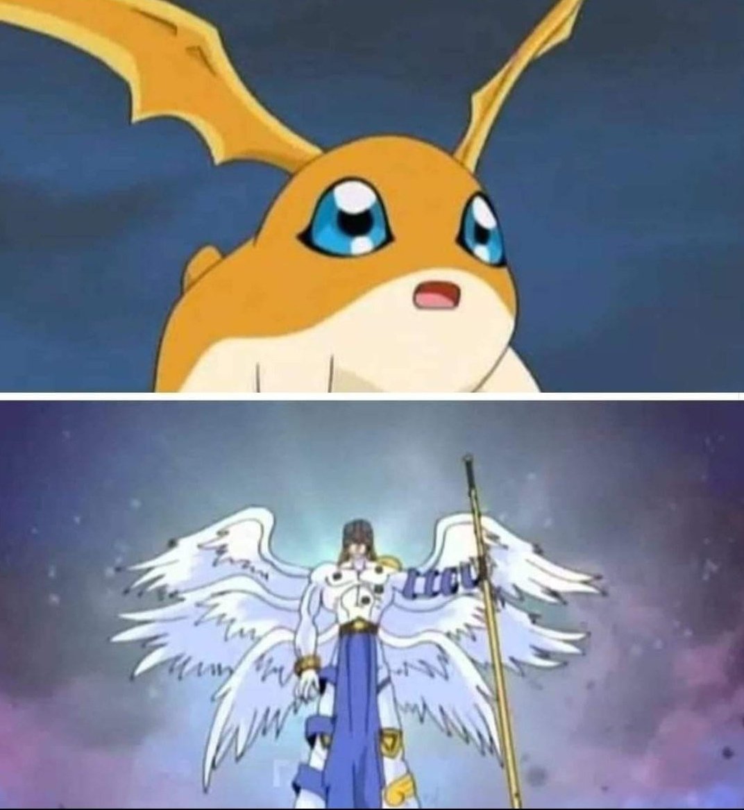 ramenretro1's tweet photo. I picked my boy Patamon cause he has the best digi evoultion https://t.co/rIaOsjZlwz