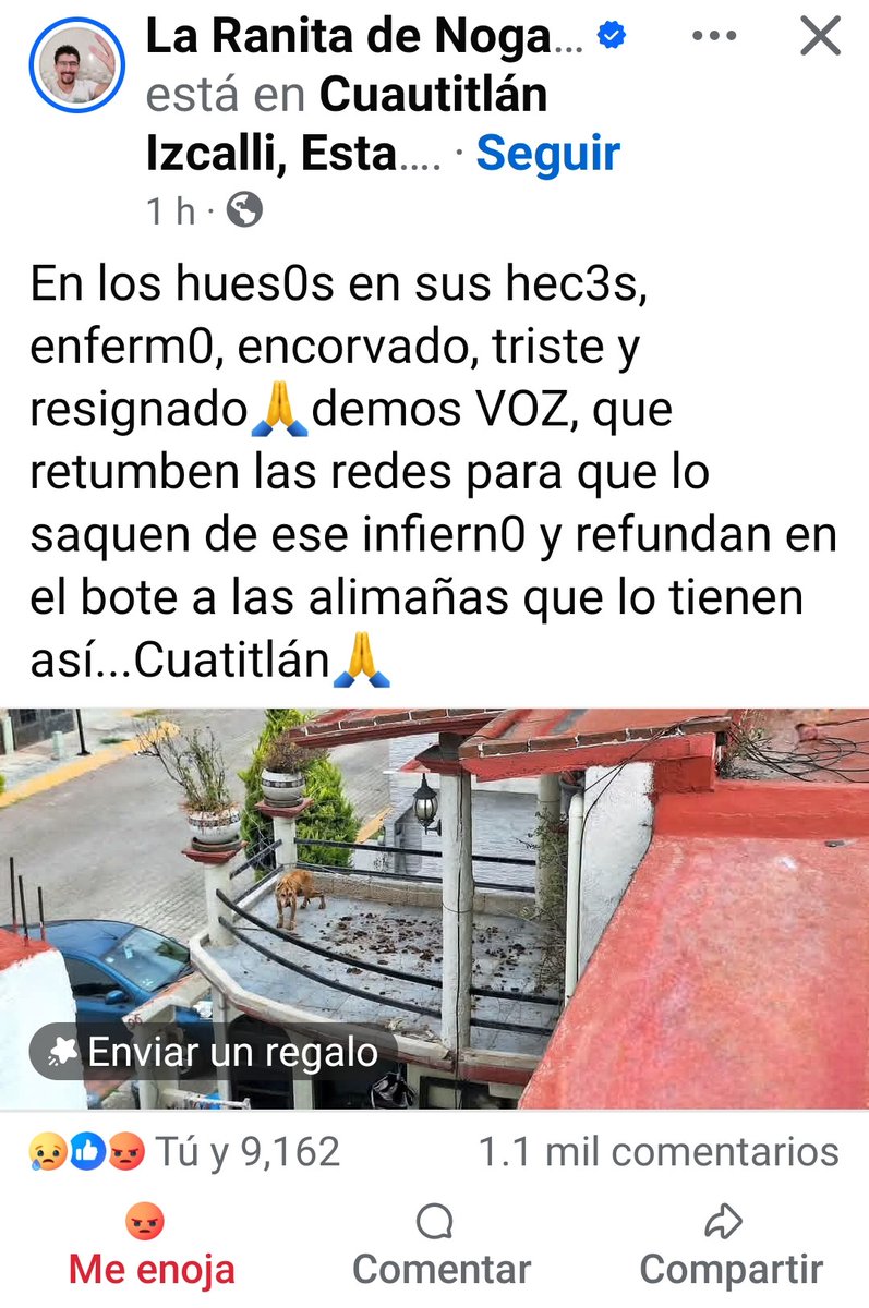 juditespadi's tweet photo. #estadodeméxico
#Cuautitlan https://t.co/ODGMp9JHPu