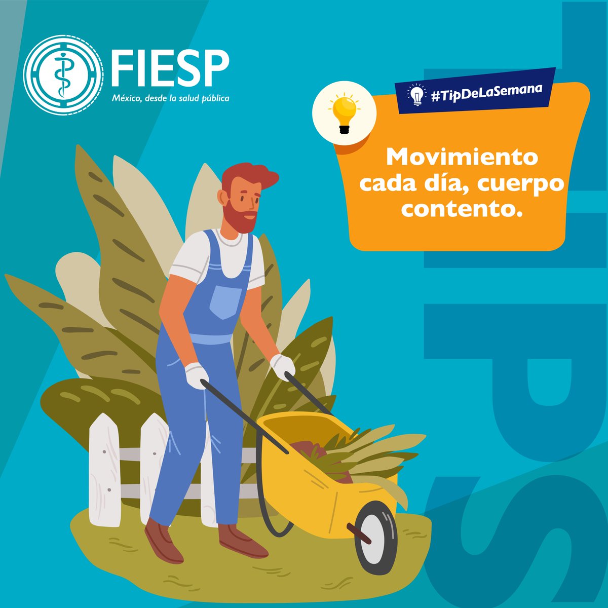 No necesitas gimnasio: caminar, bailar o subir escaleras mejora corazón, huesos y ánimo. 👟🔄 FIESP sugiere elegir actividades que disfrutes para mantenerte activo. #VidaActiva #FIESP