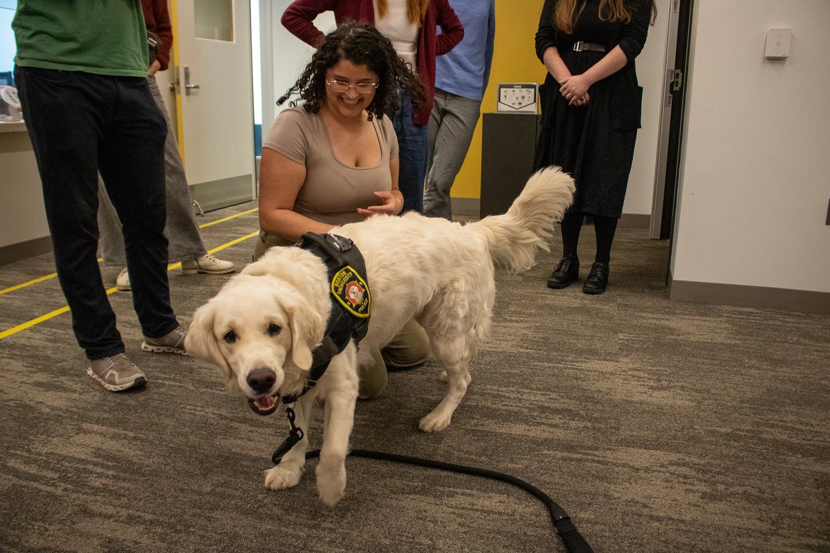 AphasiaLab's tweet image. This morning, the Center for Brain Recovery received a special visit from Boston University's community resource dog, Bean!
Bean immediately brightened up the office and brought plenty of play and cuddles to the CBR team.
Thanks for stopping by our center, Bean!