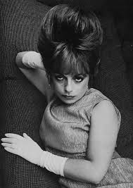 Peter Quinn tweet media