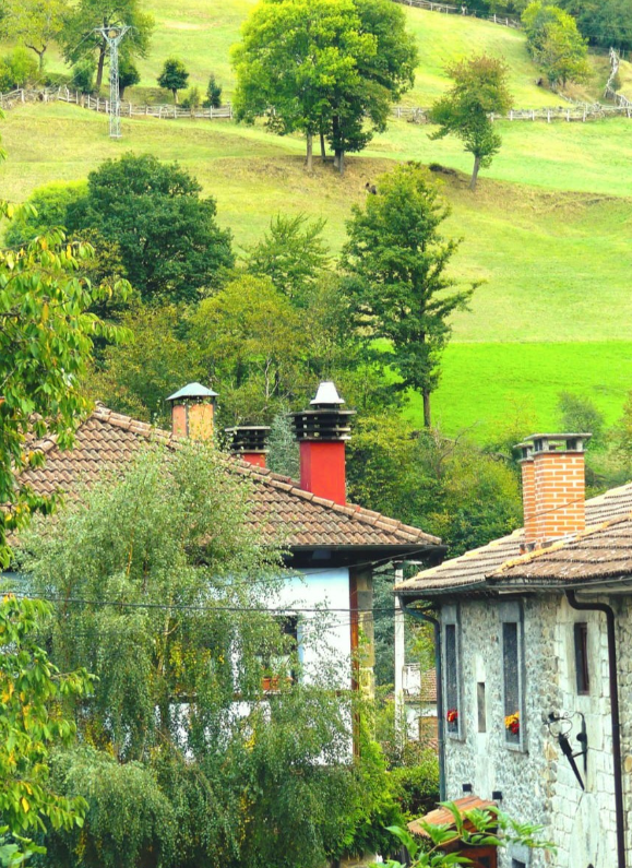 Ayer en Aller...
“El paisaje pertenece a quien lo mira” ✍ Ralph Waldo Emerson⁠
📌 #aller #asturias #allerasturias #turismo #turismodeexperiencia #turismodenaturaleza #ciervo #venado #laberrea #ecoturismo #elgumial #otoño