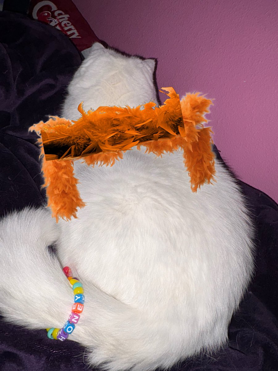 The life of a showcat ⭐️🧡🩵😻
#TSTheLifeOfAShowgirl <a href="/taylorswift13/">Taylor Swift</a> <a href="/taylornation13/">Taylor Nation</a>