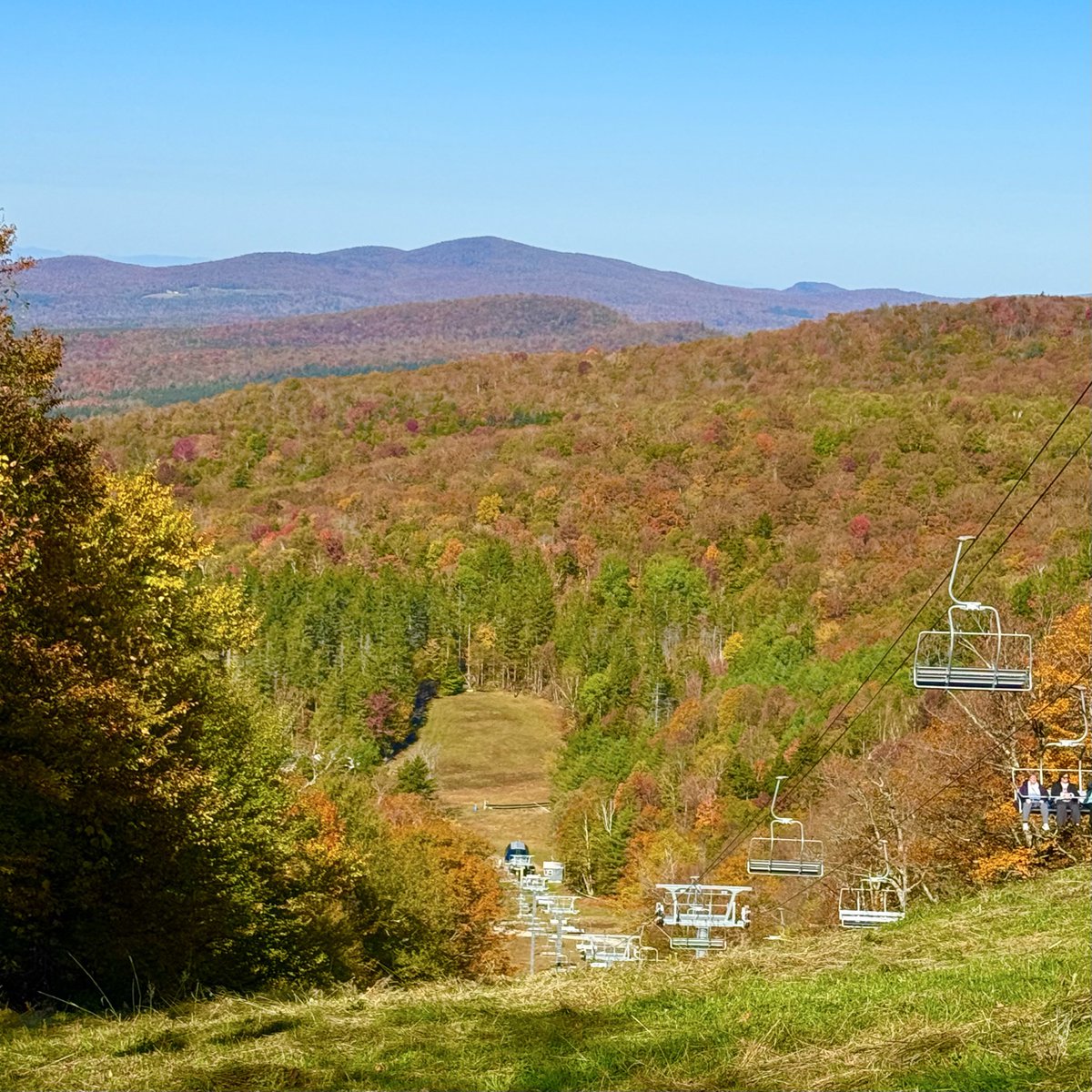 Lee Applbaum tweet media