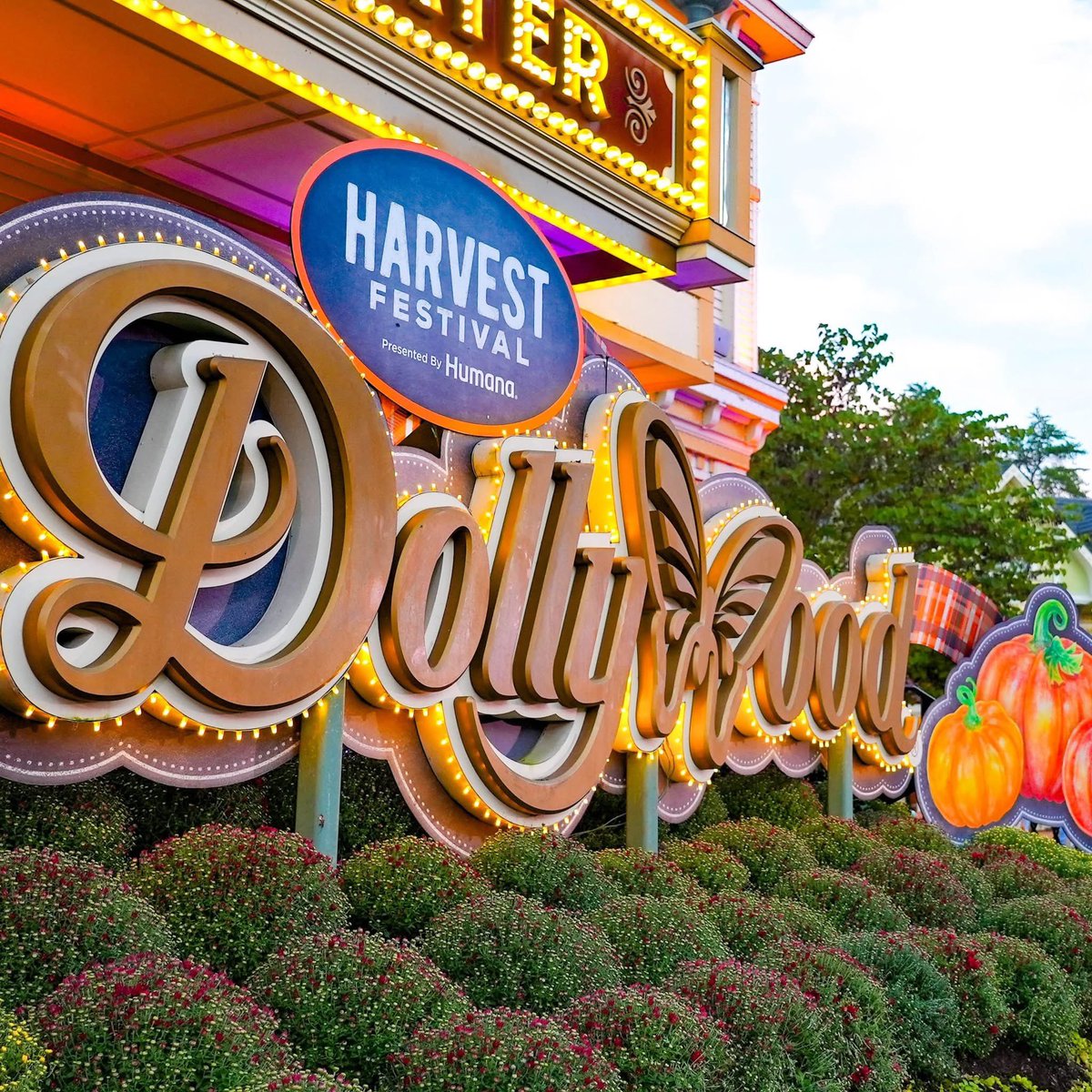 Dollywood Parks & Resorts tweet media