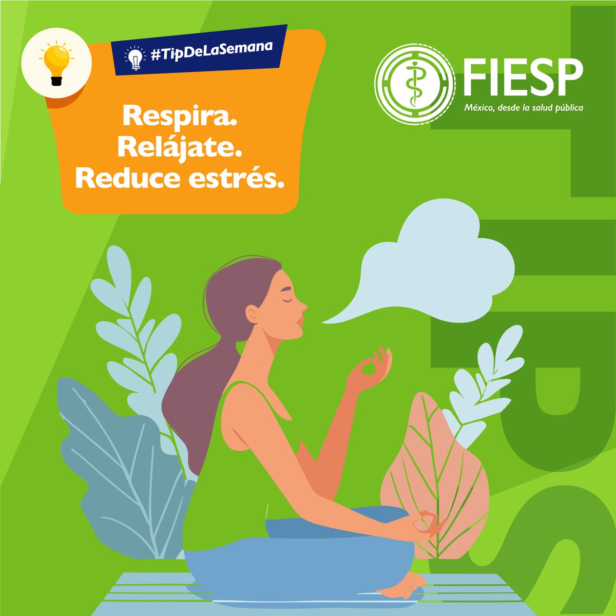 La respiración consciente ayuda a reducir estrés y mejorar concentración. 🌬️ Inhala 4s, sostén 4s, exhala 6s. 🧘‍♂️ FIESP recomienda incluir estas pausas en tu día. #RespiraciónConsciente #FIESP