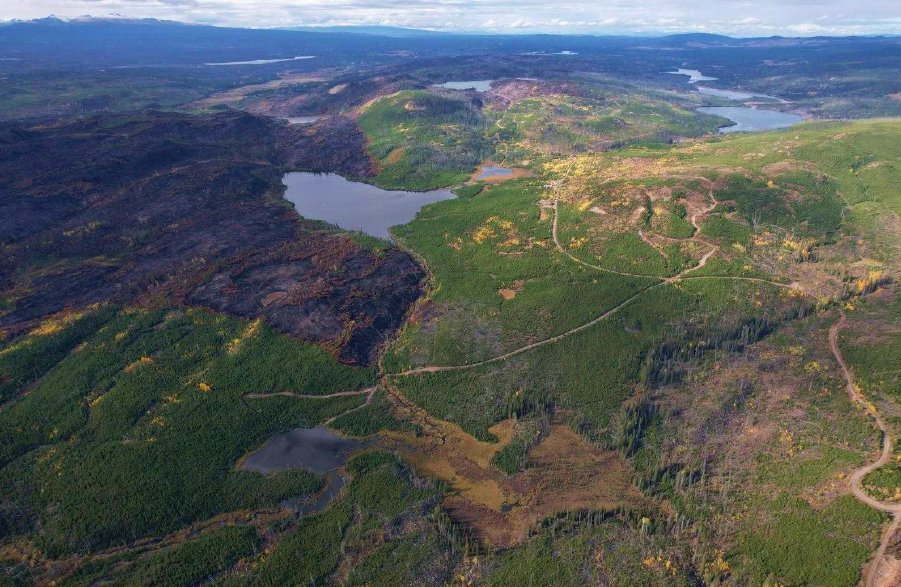 Independence Gold Corp. tweet media