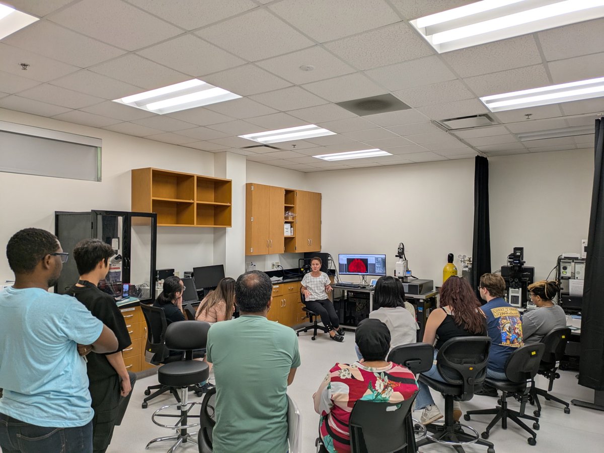 Big news from Tulane Brain Institute! IMARIS for Neuroscientists is now live at the Imaging Core workstation in 200 Flower Hall. Yesterday’s workshop showcased its powerful 3D/4D tools for neuron tracing, glial tracking, plaque detection &amp; more. Come explore! #NeuroTech #IMARIS