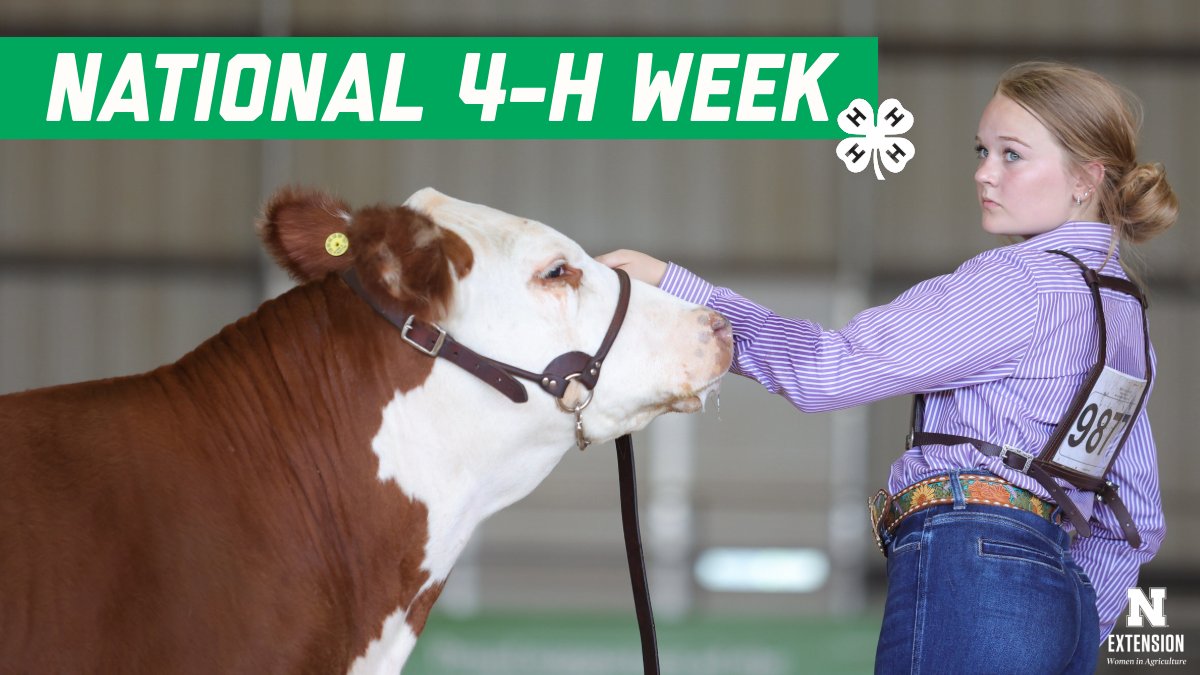 Happy National 4-H Week! ✨

We are celebrating the incredible young women in agriculture who are learning, growing, and leading within their local communities and clubs in <a href="/Nebraska4H/">Nebraska 4-H</a>. 🍀
