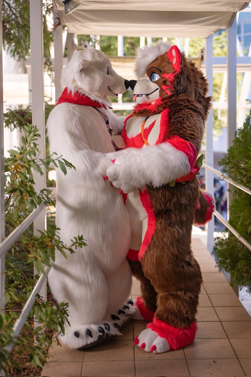 Nose kisses with the most wonderful polar bear, <a href="/eps_ham/">ハム Ham🔜Kemocon and KSF</a>! 🐻‍❄️🧸

📸: <a href="/TheYamori/">Yamori🔜Kemocon🇯🇵</a>

#FursuitFriday
#OctoBEAR
#JMoF2025
