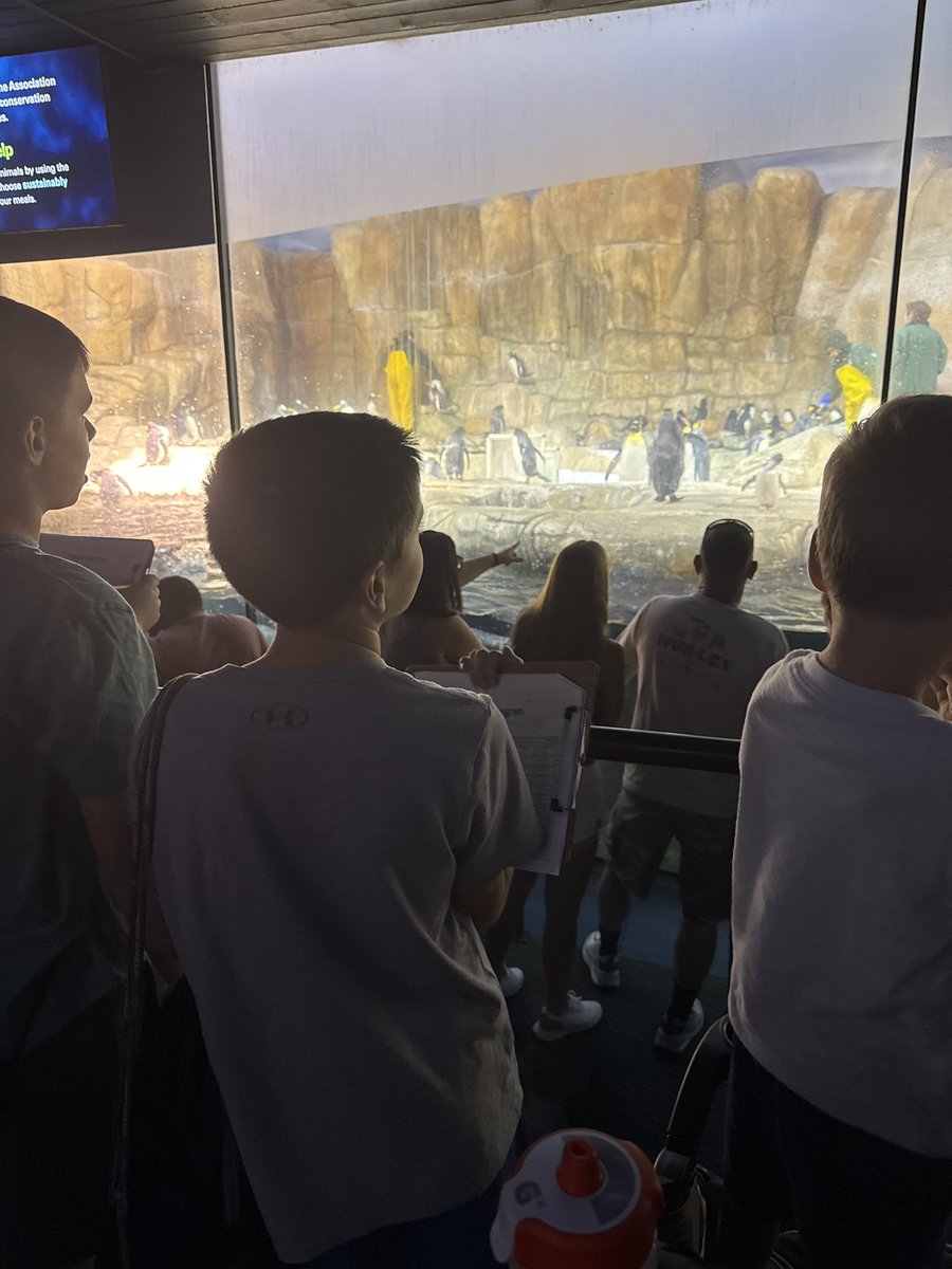 6th grade HAL Students attend Animal Behavior Seminar @ the zoo.  Students rotated through five sessions on animal adaptations, species interactions, coral propagation, and behavioral studies.