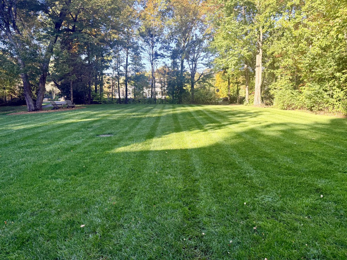 Friday - Autumnal Lawn mow.  Growing so fast - looking so good. Enjoy your weekends folks!! <a href="/BHLevesque/">Brian H Levesque</a> <a href="/jaygardner549/">Jason gardner</a> <a href="/collingb23/">Ben | Father of Four</a> <a href="/StillTheNewGuy/">The_New_Guy</a> <a href="/Cottamsland1/">Thomas Cott</a> <a href="/mowermanjimmy/">Jimmy The Mower</a> <a href="/keithgoryl/">Keith Goryl</a> <a href="/jreineron7/">Jeremy Reiner</a> <a href="/TreeHouseBrewCo/">Tree House Brewing Co.🍺</a> <a href="/TreehouseLdog/">Tree House L-Dog</a>