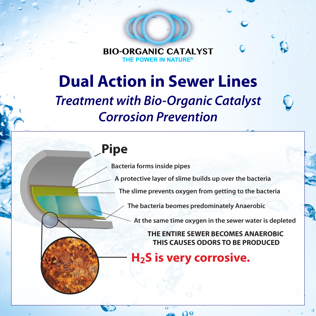 💧 BOCs break down slime &amp; grease in pump stations &amp; pipelines while boosting dissolved oxygen — eliminating harmful H₂S gas formation. Cleaner, safer wastewater systems.

Learn more: bio-organic.com/wastewater-tre… 

#WastewaterTreatment #CleanWater #OdorControl