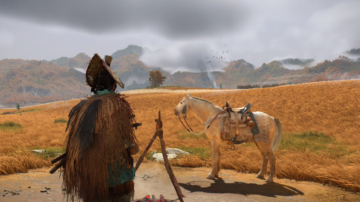 GrizzlyBeardHero tweet media