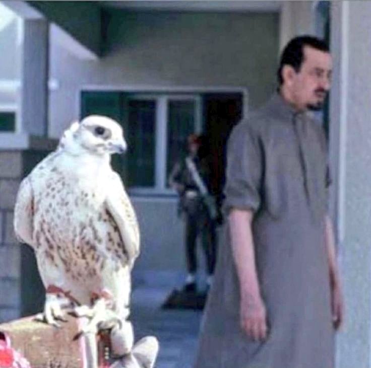 BadrAlsabhan's tweet photo. #صورة_عفوية
ل #الملك_خالد_بن_عبدالعزيز
رحمه الله https://t.co/zLjKTRljVO