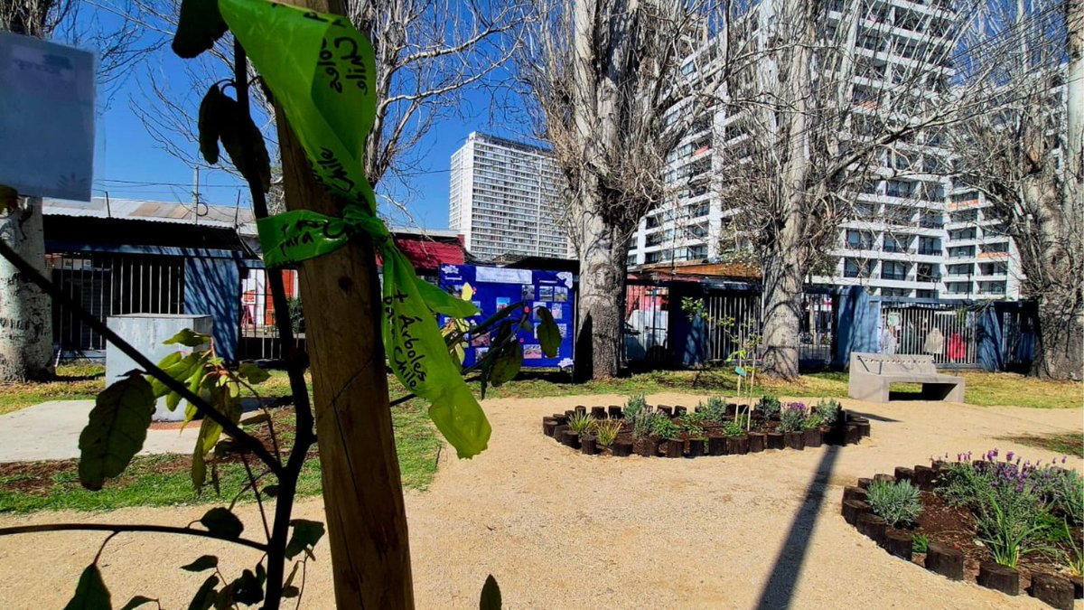 conaf_rm's tweet photo. Entre las especies donadas y plantadas 🌳destacan el quillay y el maitén, que aportarán sombra, aire más limpio y biodiversidad.
Además, se instalan pérgola, juegos infantiles, macizos florales con riego y escaños con el apoyo de DHL. https://t.co/p1gC0SAqzD