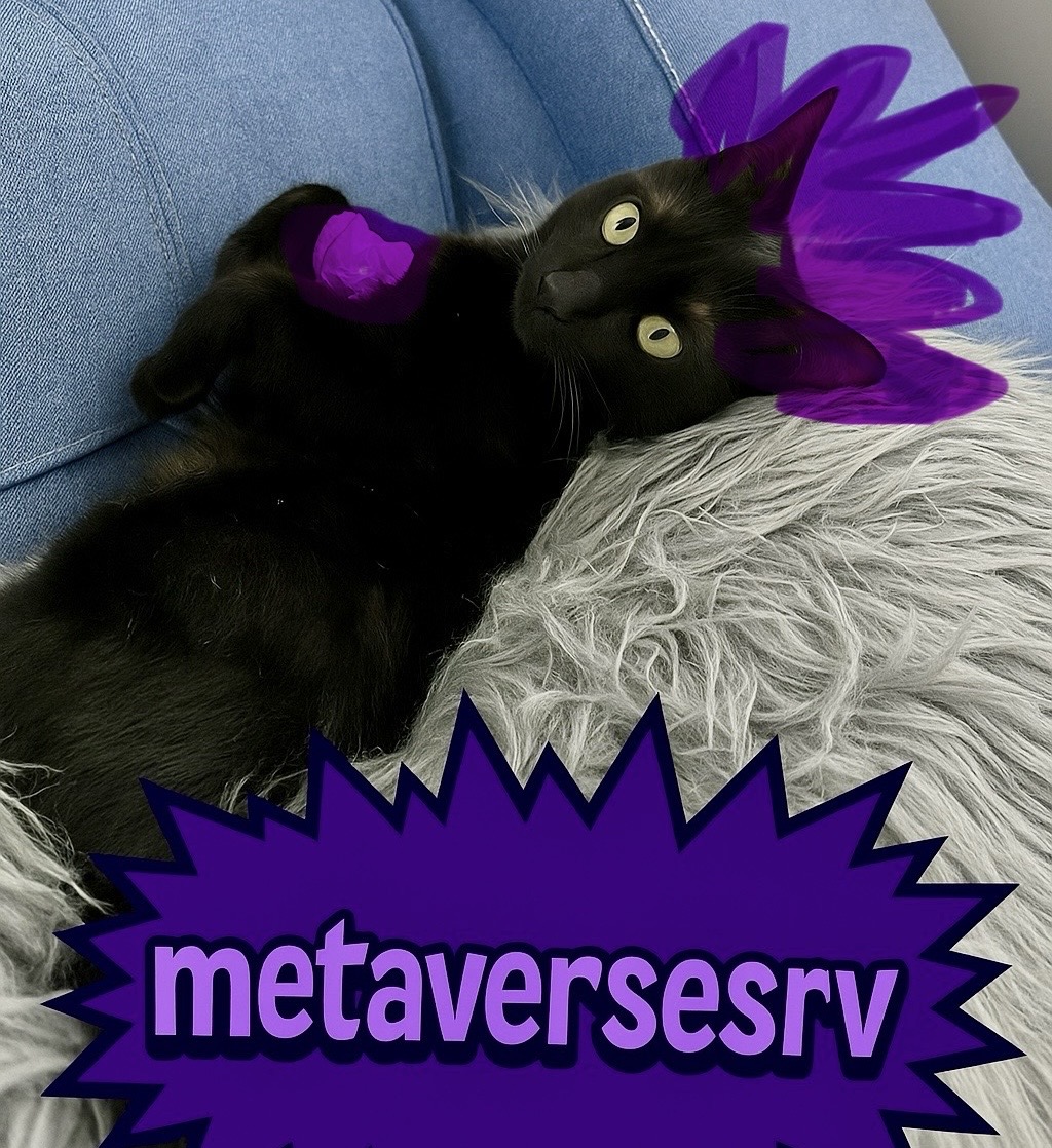 MetaverseAs's tweet photo. My cat is kinda chog too 🐾 @ChogNFT https://t.co/nf6rkyP7uF