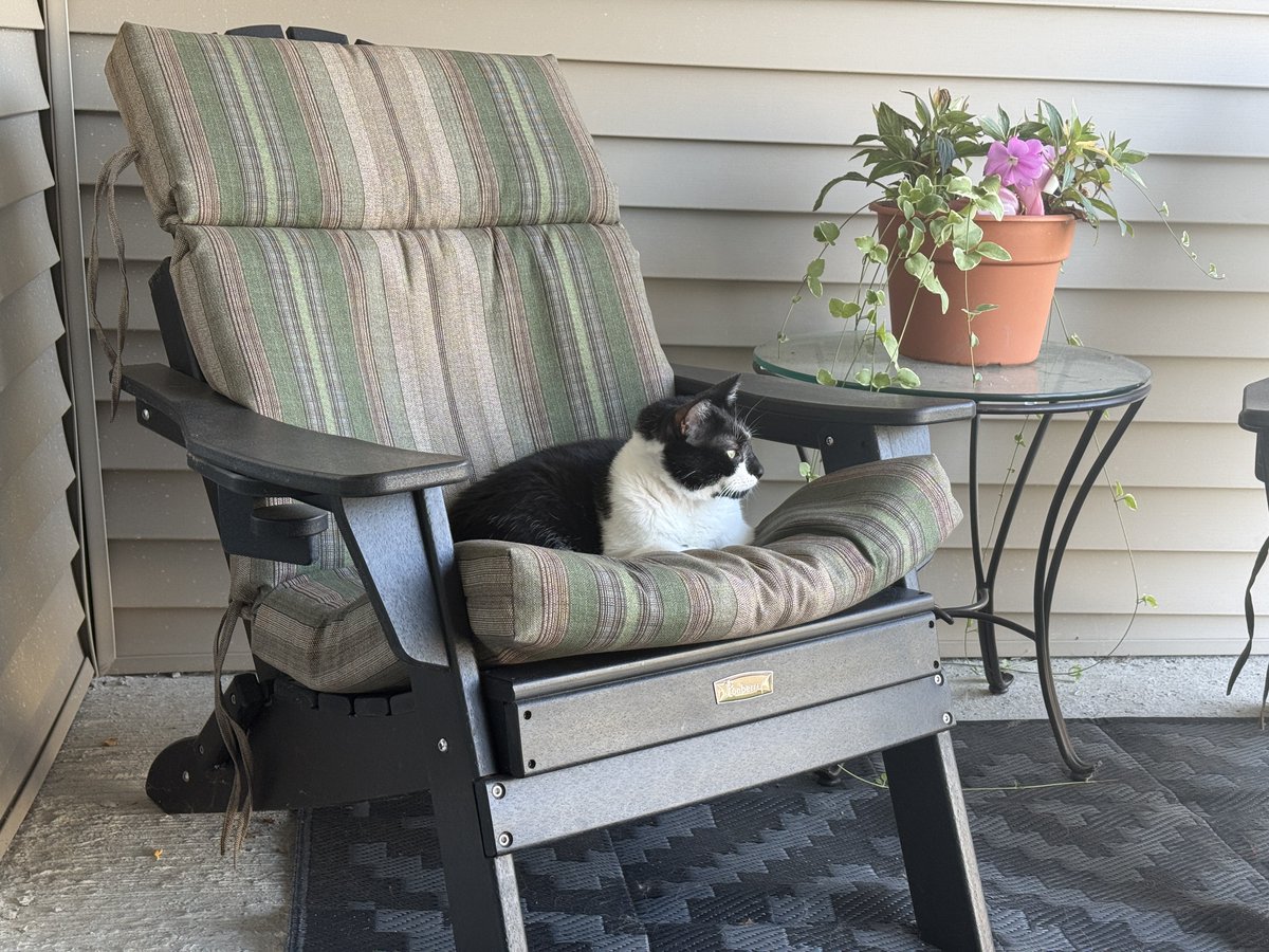 Oreo and I like to relax on our chairs in the afternoon