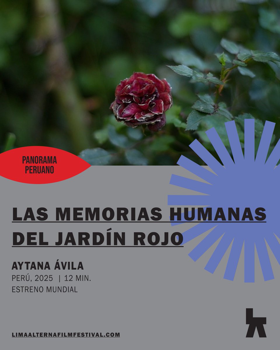 ★ PANORAMA PERUANO ★

-“Llamas”, de Cristian Cancho (🇵🇪Perú, 2025, 7 min)
-“Diario de una mano”, de Tomás Orrego (🇵🇪Perú, 2025, 3 min)
-“Las memorias humanas del jardín rojo”, de ​​Aytana Ávila (🇵🇪Perú, 2025, 12 min)

#6LimaAlterna