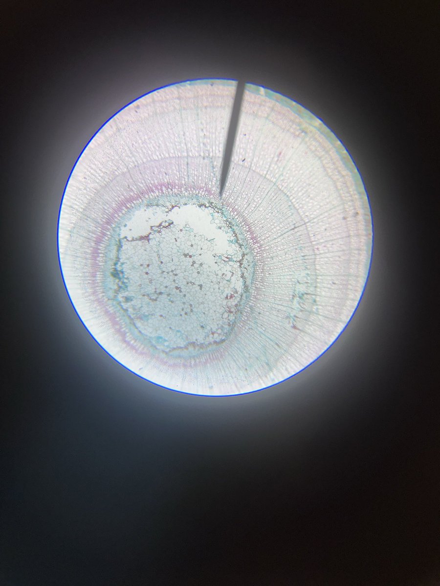 Mr. Hansmann tweet media