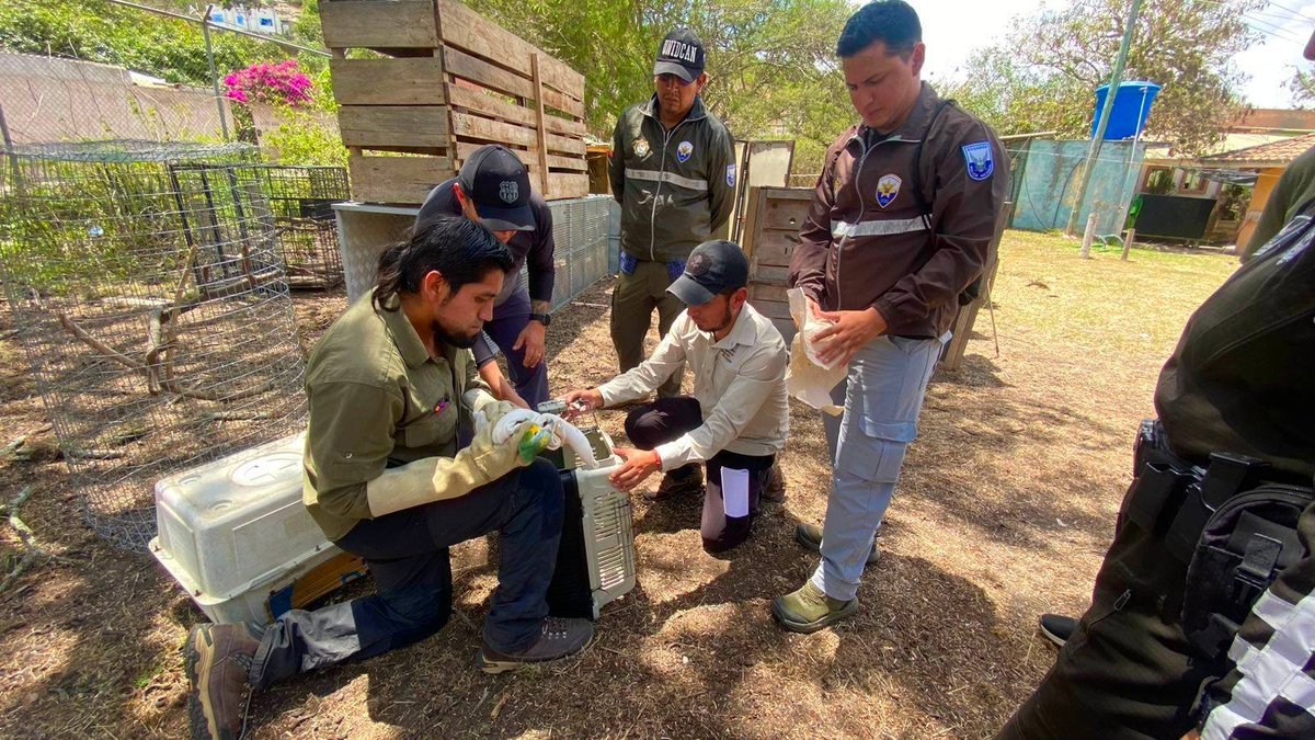 ⚖️🐾|  En el marco del proceso formativo sobre el “Protocolo para el manejo de indicios y/o evidencias relacionadas con infracciones y delitos contra la flora y/o fauna silvestre”, llevamos a cabo la fase práctica de capacitación, liderada por Policía Nacional en coordinación con