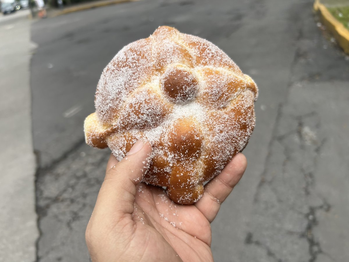 RodrigoDelgado's tweet photo. El 11º pan del #PanDeMuertoChallenge fue de Alpaca Bakery (Nápoles). Con sabor a naranja natural y ralladura visible, luego llega la mantequilla. De miga muy suave y huesos crujientes. ¡Un gran pan de muerto! https://t.co/ohLk82brNo