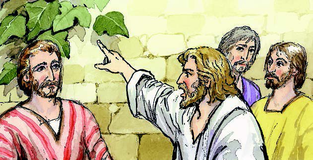 Norteño en Los Altos. tweet media