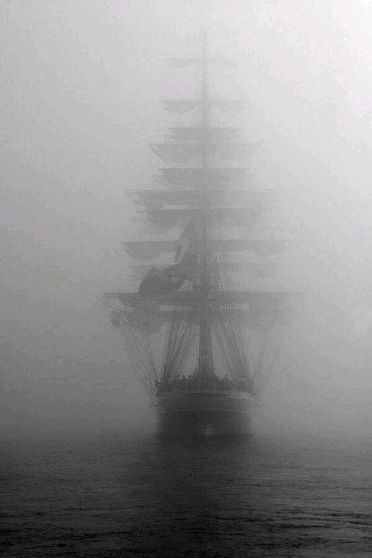 Thompson_DavidW's tweet photo. #MondayMultiGenre @kcsowriter @CynthiaLey2 @JBotzenhart @F_J_Thomas @JeanneRichard11 @ionacrv @IngridFoster @KZ_Howell @judigetch @LynneMarino7 @Thompson_DavidW @ElleMarlowWrite @CasamentoArrigo @d_ast777 @AuthorKKWeakley @SSBazinet @sgc58 @MultiGenreBooks @zguta https://t.co/boQQErpOVj