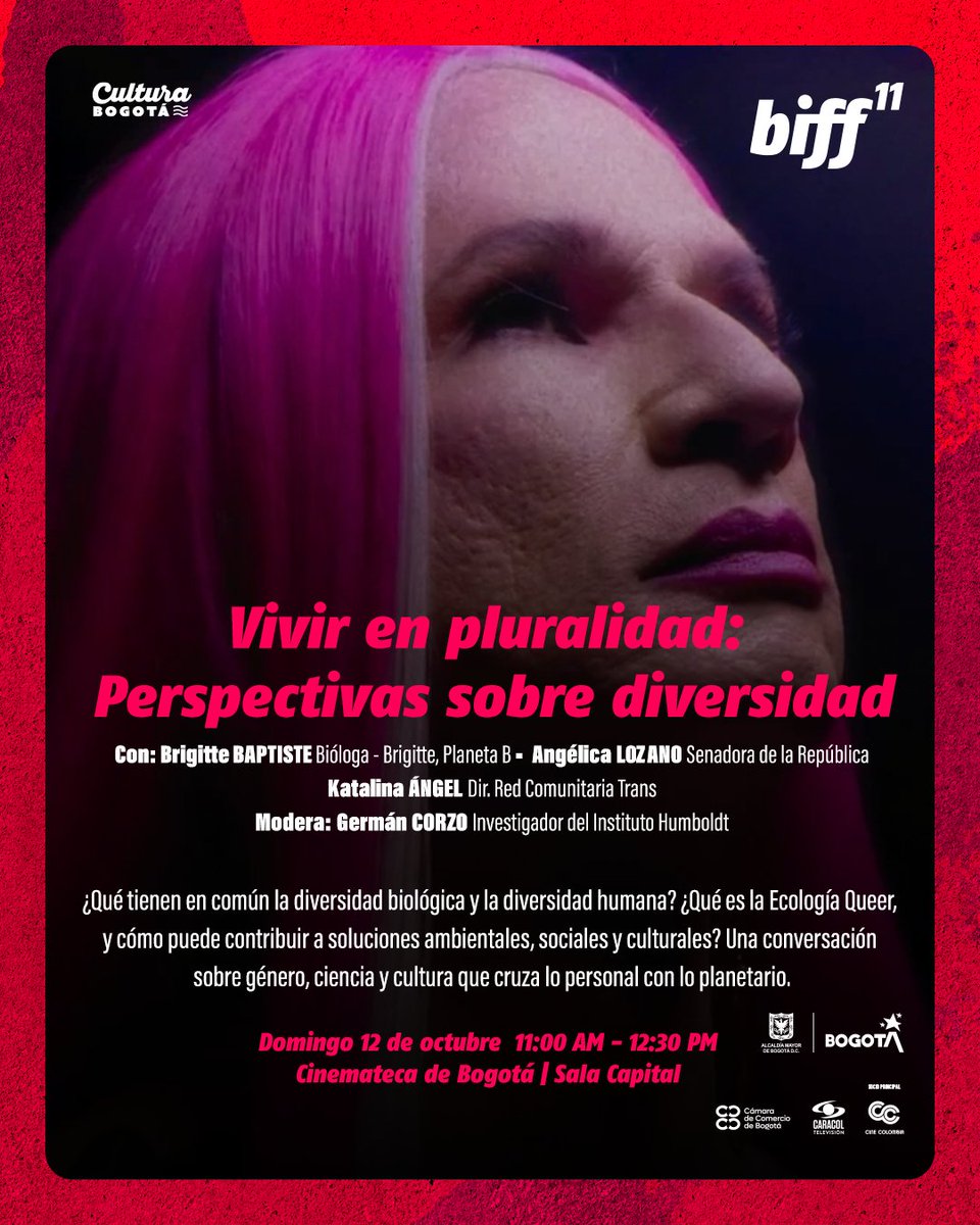 BIFF Festival tweet media