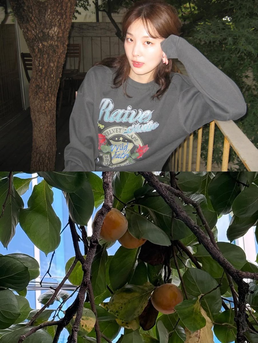 anon08500's tweet photo. 250928 both wearing similar sweatshirts on the same day.
Kai at his soundcheck.
Seulgi on instagram, plus notice the 'peaches'.
#seulkai #kai #seulgi https://t.co/SWB4VMxqDi
