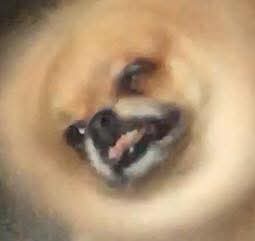 ReallyLoudFart's tweet photo. Diarrhea spray up my whole back https://t.co/8PDZy2Ncsj