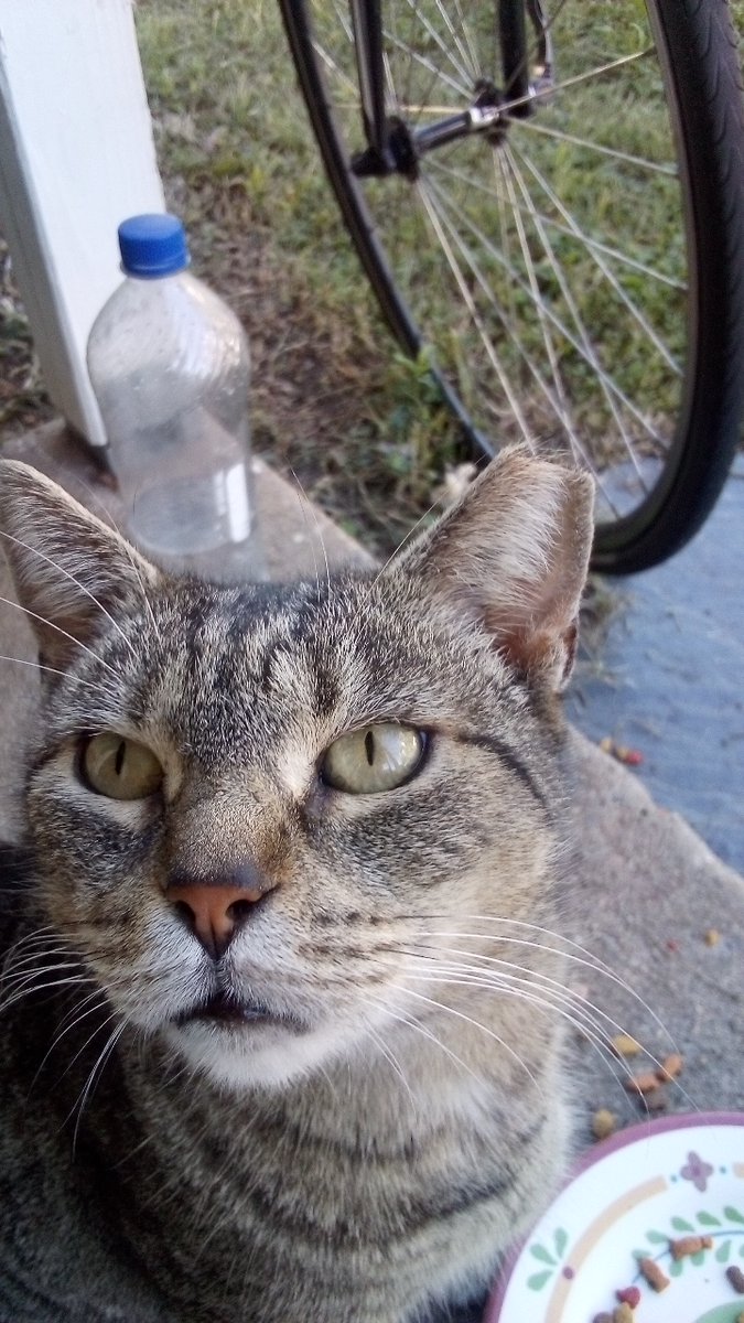 Grumpy why u so mad ?