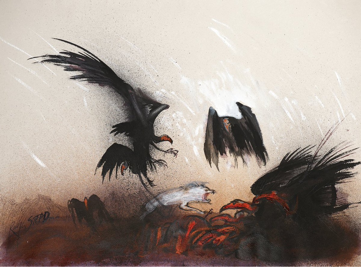 SteadmanArt's tweet image. Vultures—hooded undertakers in the sky, circling the inevitable with patience sharp as beaks. They don’t kill, they wait. Death’s janitors, polishing bones in the sun.

 #Vultures #RalphSteadman #Illustration