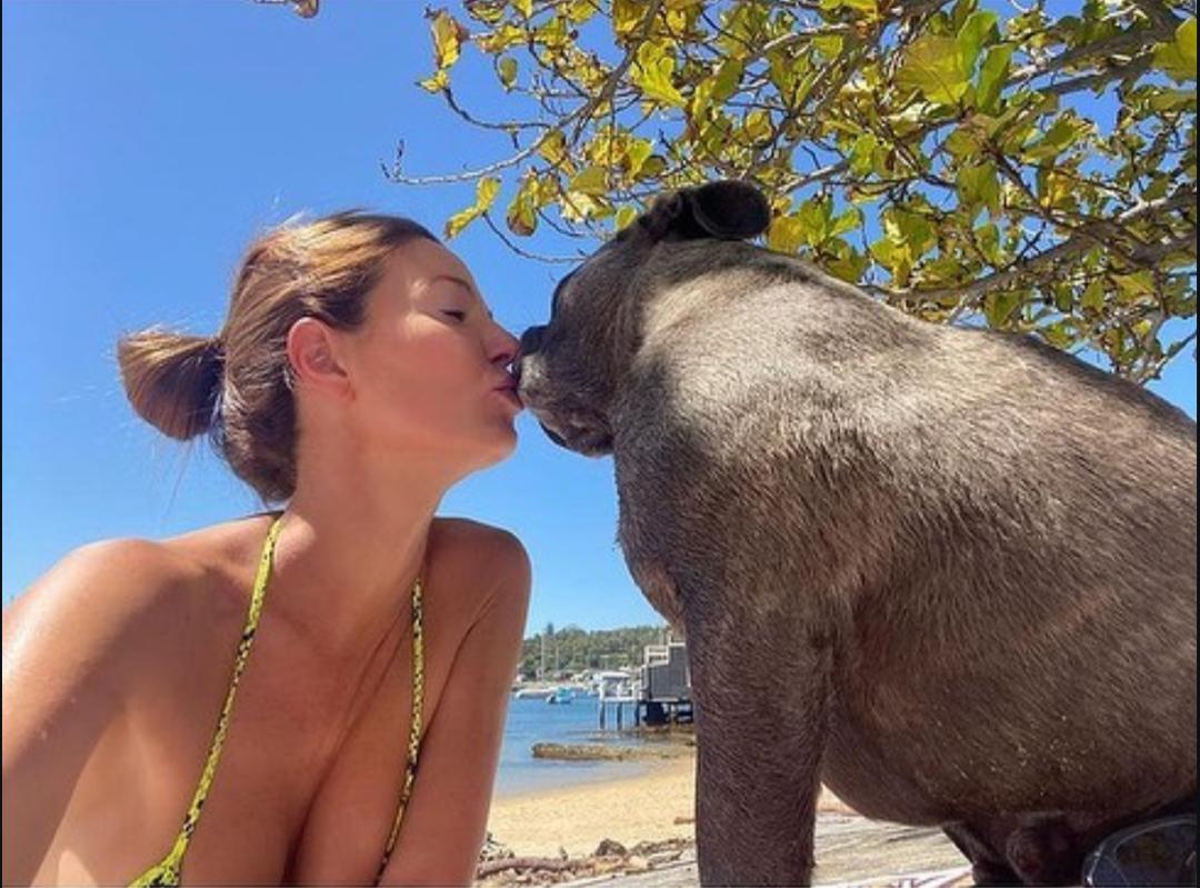 godwin35825's tweet photo. Zoo model who gives pleasure to her dogs because she likes it so much dog!
念
Telegram:
#zoophillia https://t.co/7IdUbt1Tym #beastiality #dogknot #zooprideisvalid #zoophile
#antizoo #antizoophileantizoo #k9girl
#zoopride
#zoophilepride #zoopositivity
#Bestiality #hypnotist https://t.co/YHELTLneOq