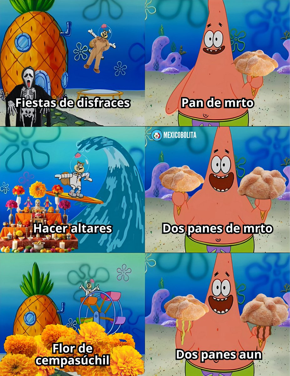 ¡Hay muchas cosas que hacer en Octubre en México! 😁