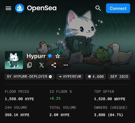 julodegen's tweet image. I’ve got 2,000 $HYPE (~$100k)

why should I put it in HYPURR nfts?

give me one reason 👇