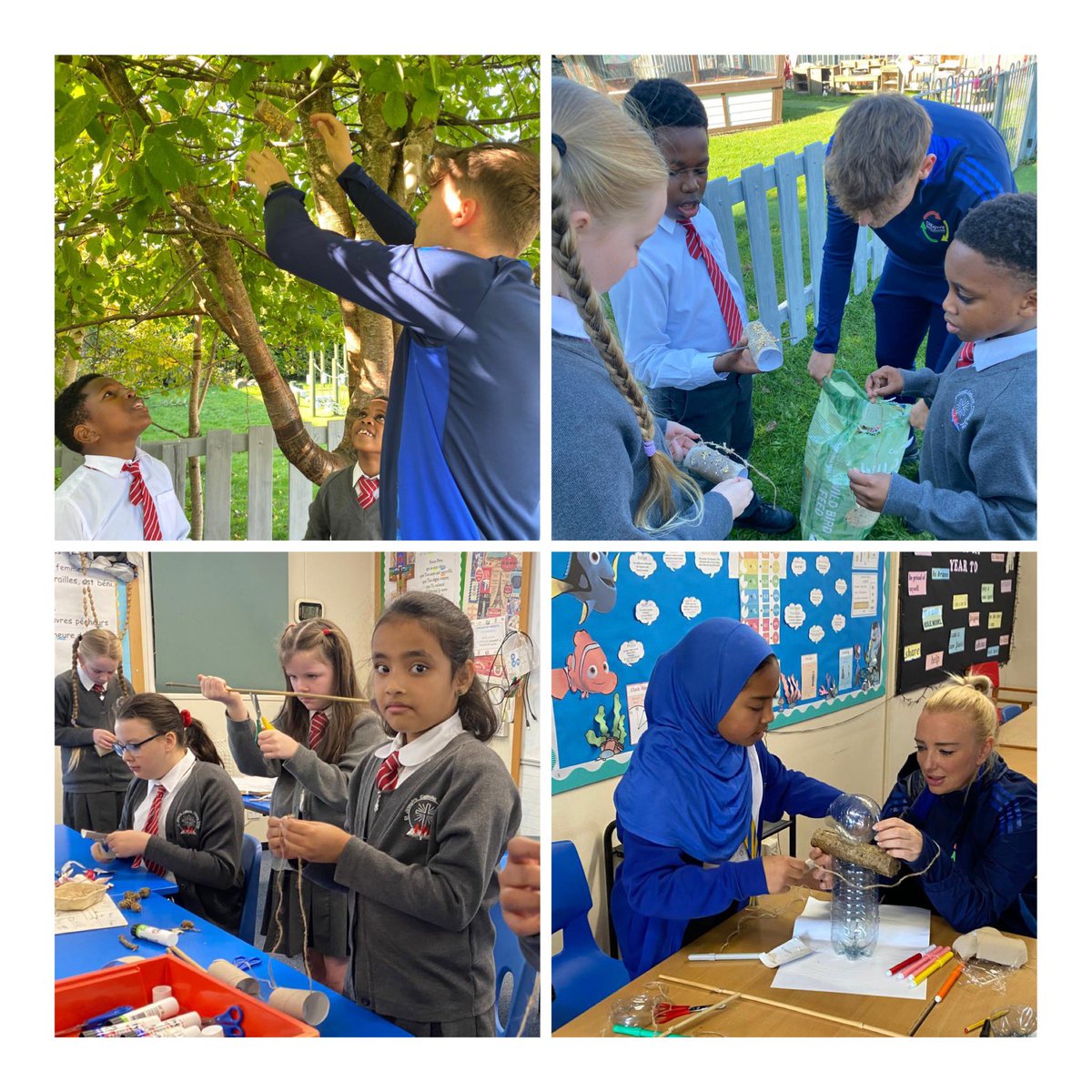 Creative Sports Coaching CIC tweet media