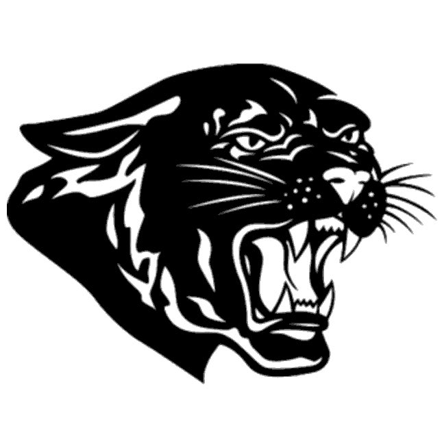 Central Illinois Football tweet media
