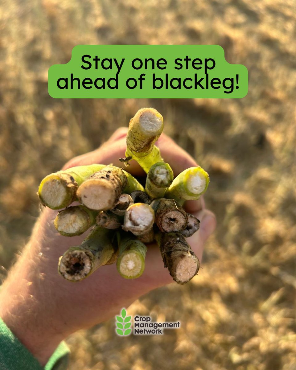 Crop Management Network Inc. tweet media