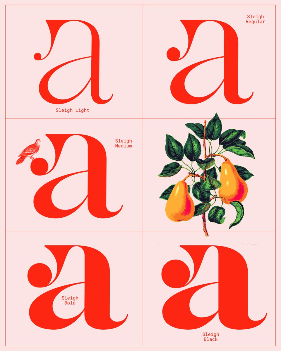 Barrett Reid-Maroney tweet media