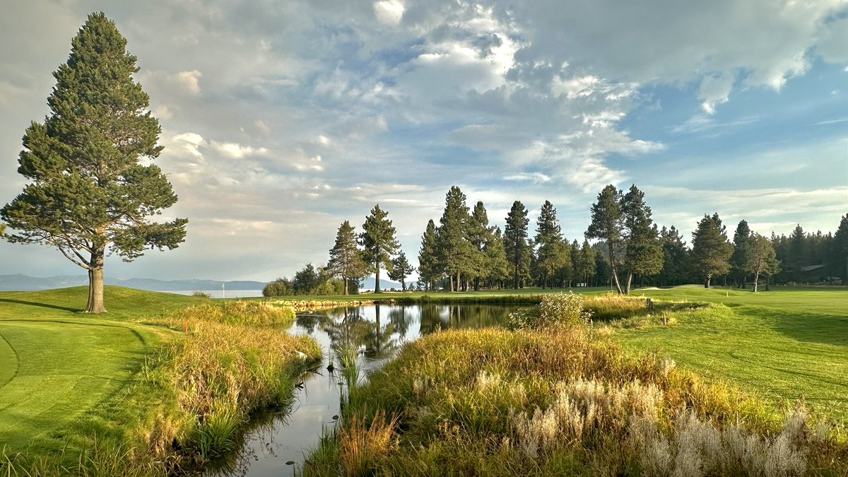 Shane Cullimore tweet media